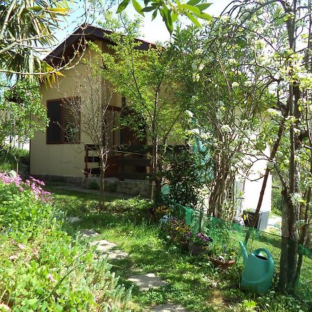 Yellow Villa Sinemoretz Extérieur photo